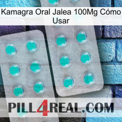 Kamagra Oral Jalea 100Mg Cómo Usar 29